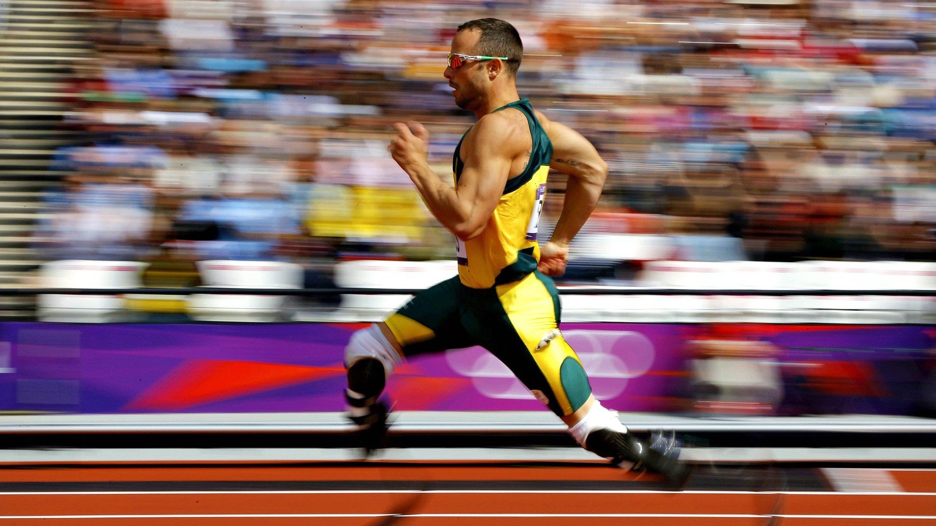 世界杯赛场上的“黑马故事”被纪录片跟拍：一段不平凡的竞技传奇